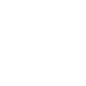 essor